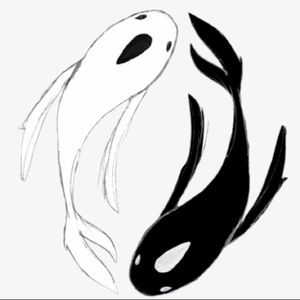 Meet your Posher, Maxine